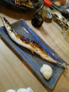 初物　秋刀魚